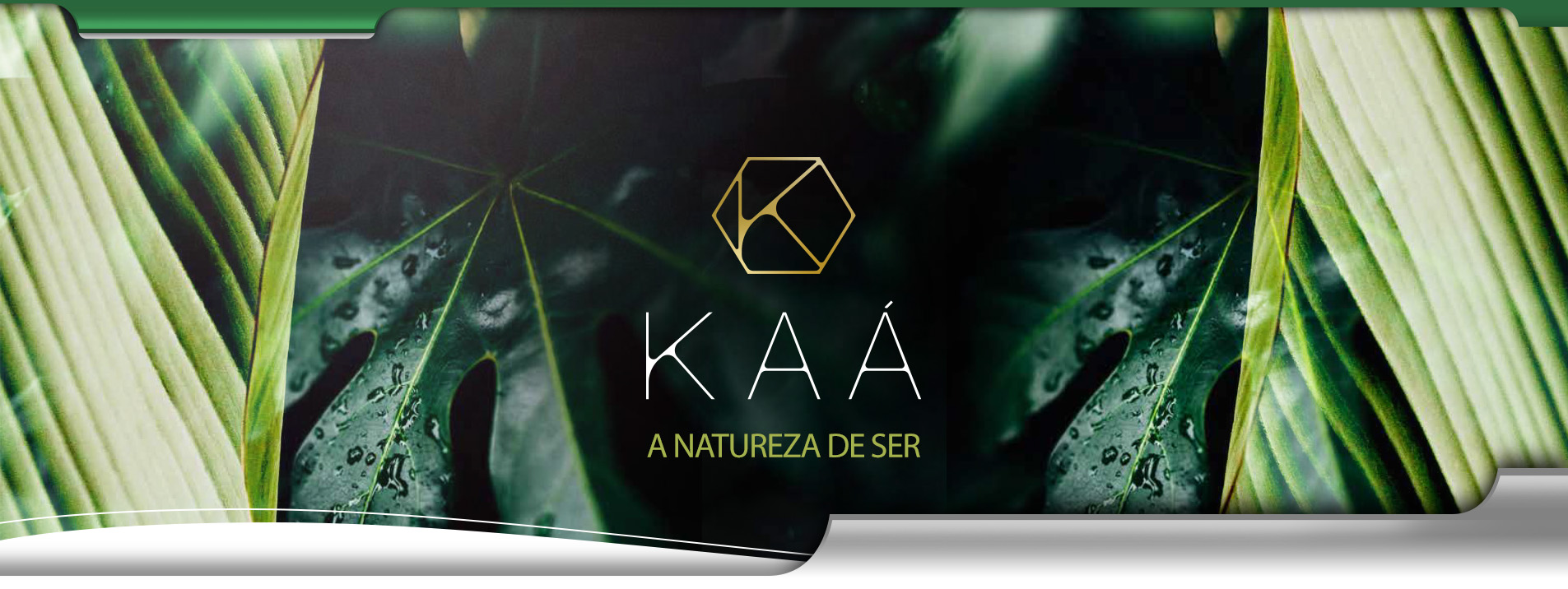 Kaá Perdizes - Topo